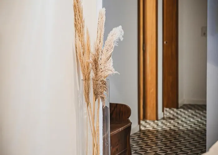 Cangalho Premium Azueira