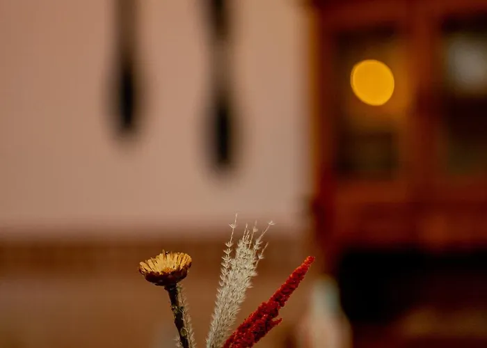 Cangalho Premium Bed & Breakfast Azueira